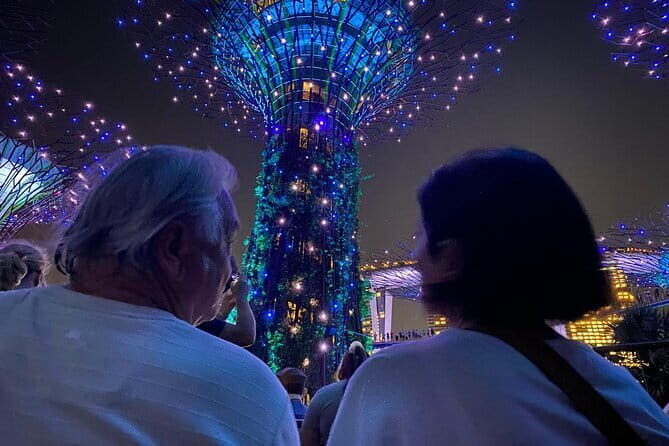 Private City Car Tour Singapore (4 Hours or 8 Hours) - The Sum Up