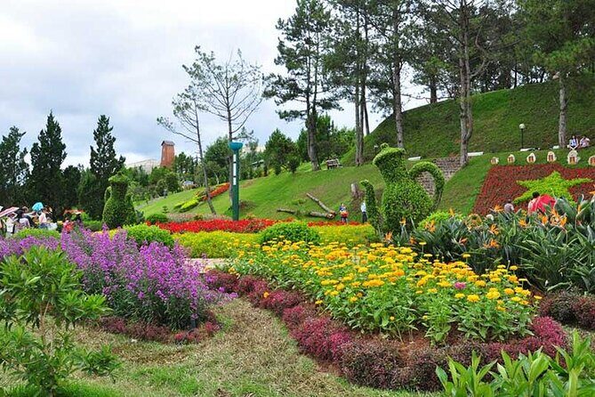 Private City Tour in Dalat - The Practicalities and What They Mean for You