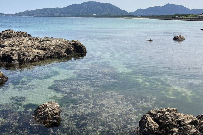 Private Coastline Ebike Tour in Fukuoka - Key Points