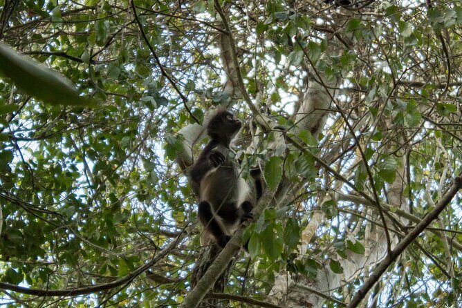 Private Coba Ruins and Natural Reserve - Final Thoughts