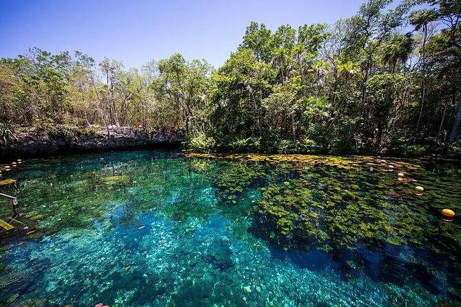 Private Coba & Zipline, Rappel and Cenote Snorkeling - FAQs