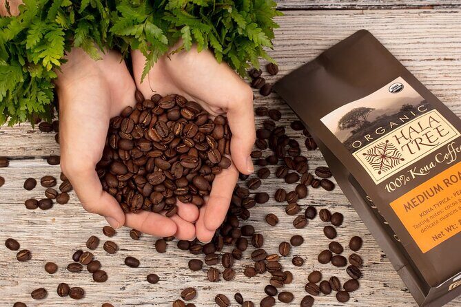 Private Coffee Roasting Class - Key Points