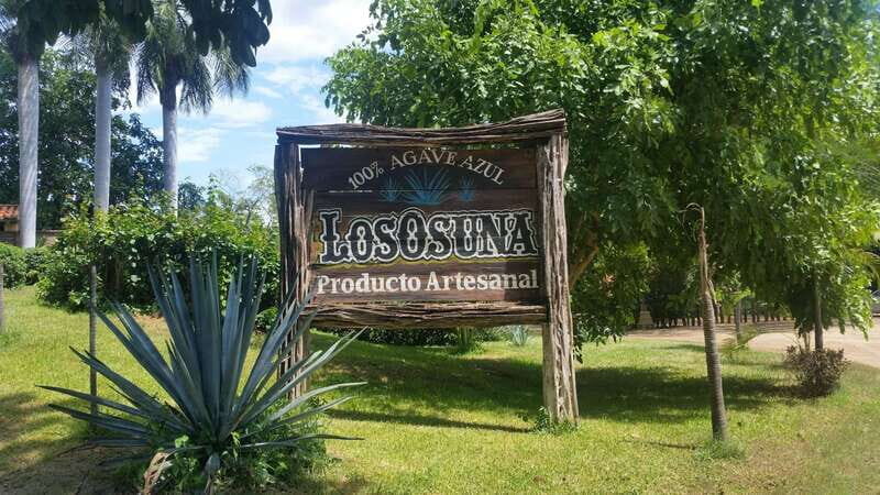 Private Colonial Tour Tequila and the Noria - The Sum Up