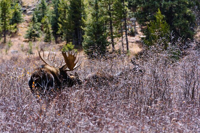 Private Colorado Backcountry 4x4 Off Road Adventure Tour - Final Thoughts