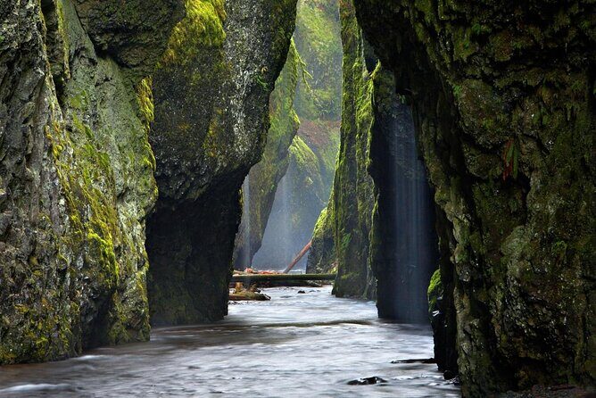 Private Columbia River Gorge Half-Day Tour - An In-Depth Look at the Private Columbia River Gorge Half-Day Tour