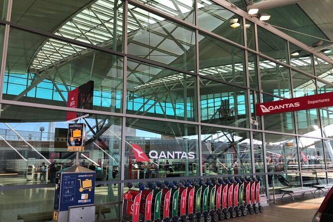 Private Comfortable Trips around the Sydney Region - A Detailed Look at the Experience