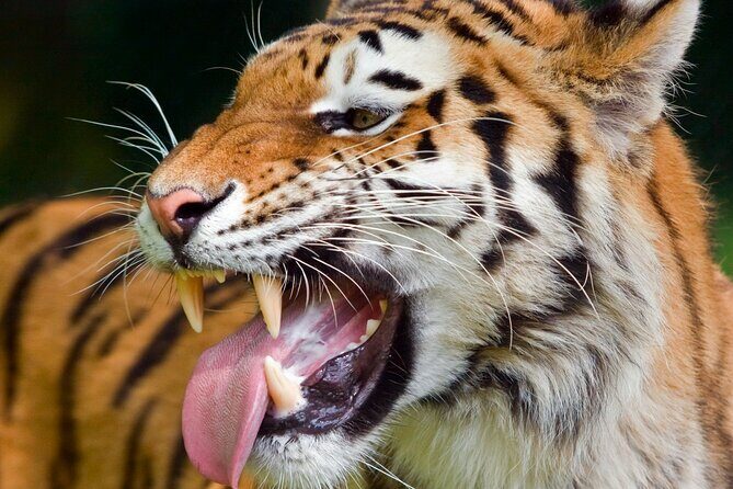 Private Corbett National Park & Nainital Tour from New Delhi - Key Points