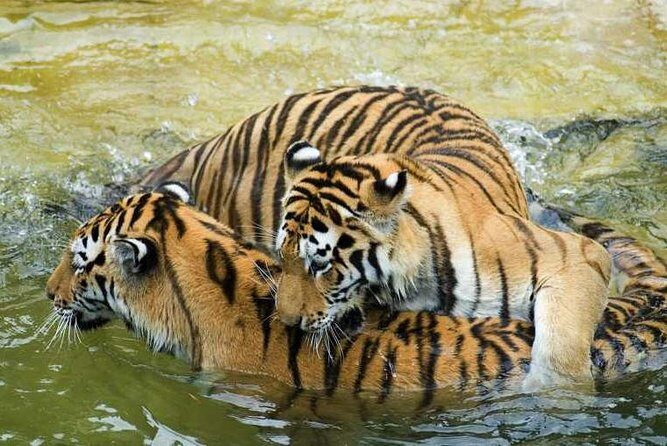 Private Corbett National Park & Nainital Tour from New Delhi - Practical Considerations