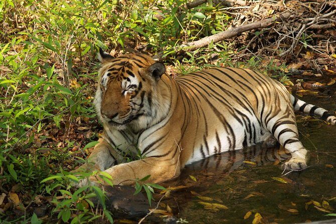 Private Corbett National Park & Nainital Tour from New Delhi - The Sum Up