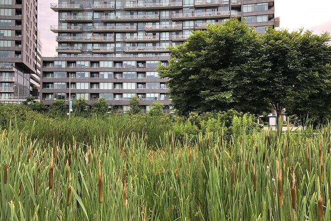 Private Corktown and Distillery District Tour - Pricing and Value