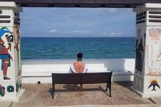 Private Cozumel accesible adventour en silla de ruedas - FAQ