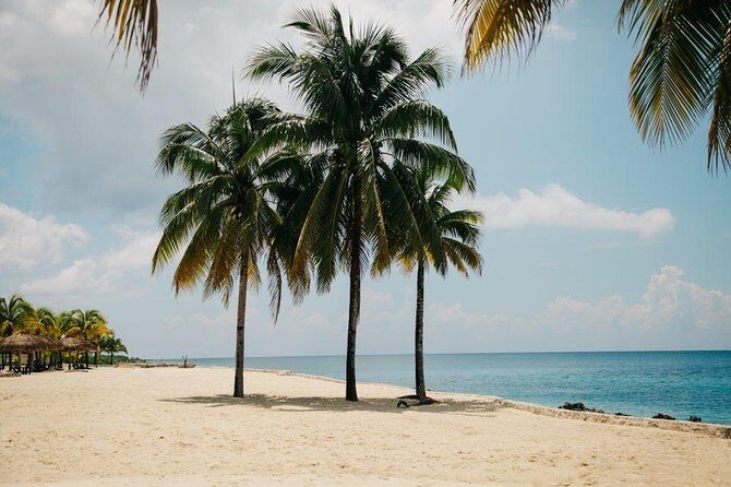 Private cozumel full day adventure - Key Points