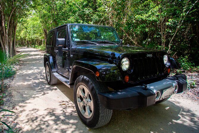 Private Cozumel Jeep and Jade Cavern Cenote Tour - Exploring the Private Cozumel Jeep and Jade Cavern Cenote Tour: An Honest Look