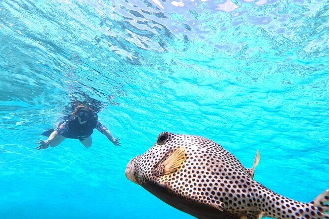 Private Cozumel Jeep and Jade Cavern Cenote Tour - What Travelers Are Saying