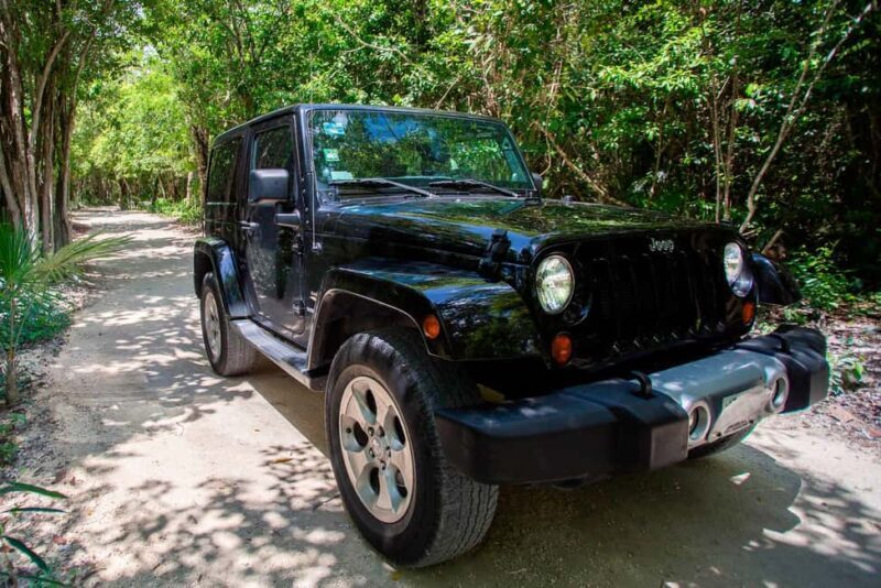 Private Cozumel Jeep and Jade Cavern Cenote Tour - Key Points