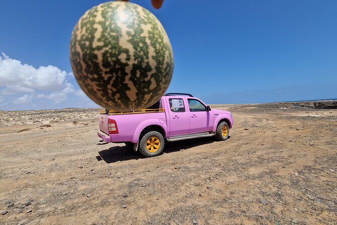 Private Creative Pictures Full Day Island Tour (Off Road inc.) - The Experience from Travelers’ Perspectives