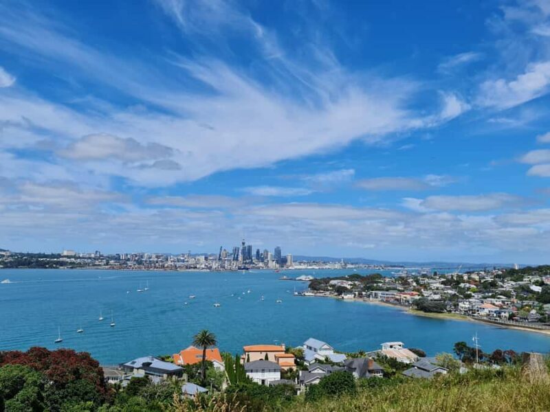 Private Custom: Auckland City Hidden Gem Tour - The Sum Up: The Best Fit for Authentic Auckland Experiences