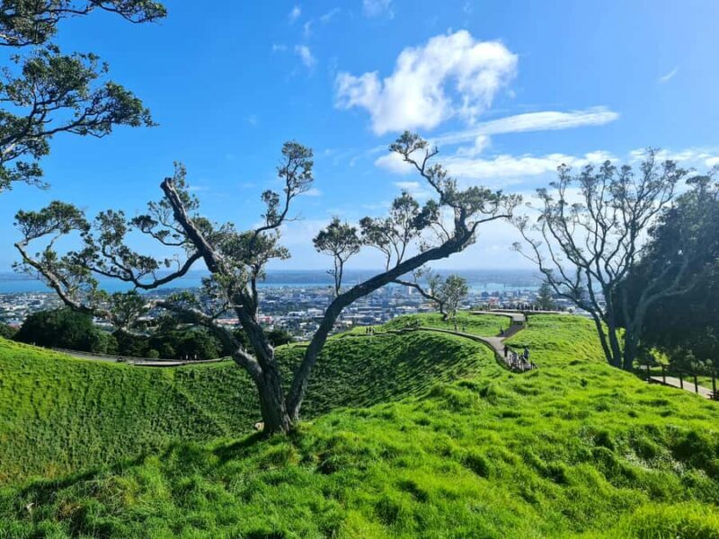 Private Custom: Auckland City Hidden Gem Tour - FAQs