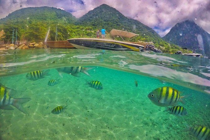 Private Custom Coastal Cruise St. Lucia Half Day - The Sum Up