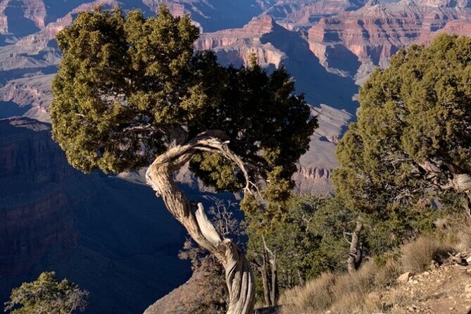 Private Custom Grand Canyon Tours - Final Thoughts: Is It Worth It?