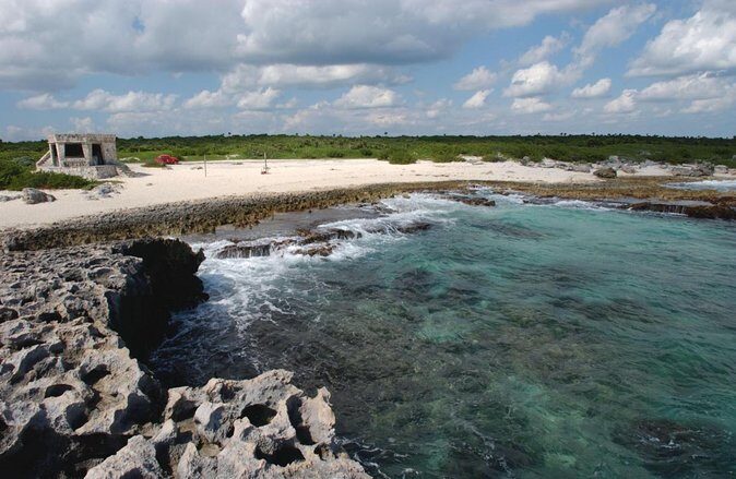Private Custom Jeep/Buggy Tour in Cozumel with Lunch and Snorkel - A Deep Dive into the Experience