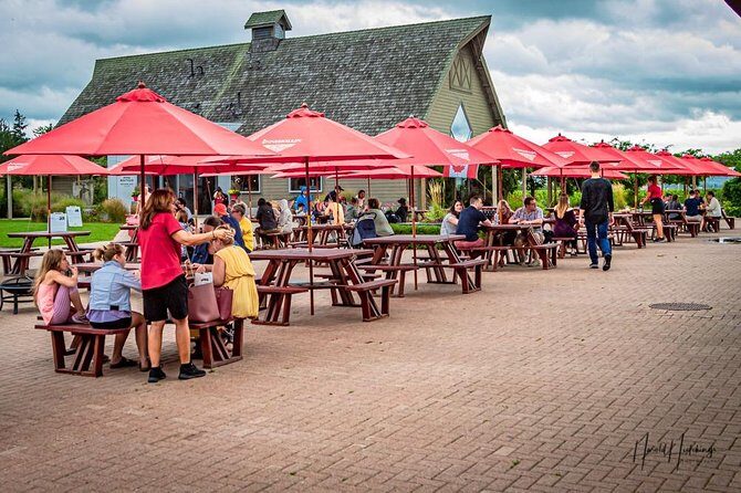 Private Custom-Made Niagara Falls Wine, Beer, and Spirits Tour - The Experience Provider: Wheelz Niagara