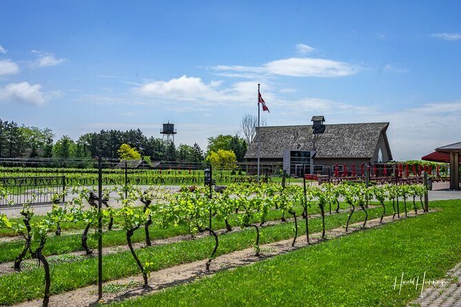 Private Custom Niagara Falls,Canada Winery Tour From Niagara Falls, NY - FAQ