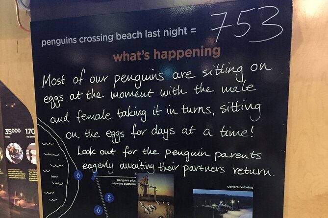 Private custom Penguin Tour with Premium Penguin Tickets - Price and Value Analysis