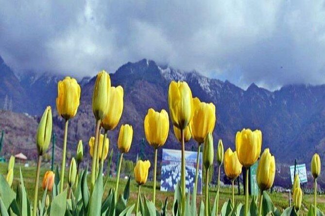 Private Custom Tour: Gulmarg local Sightseeing with guide - What’s Included and What’s Not