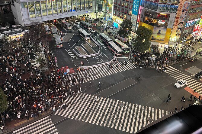 Private Custom Tour in Tokyo with a Bilingual Japanese Guide - Authentic Experiences and Local Insights