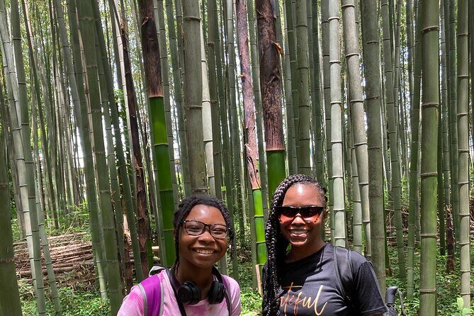 Private Custom Tour: Kyoto in One Day - Final Thoughts