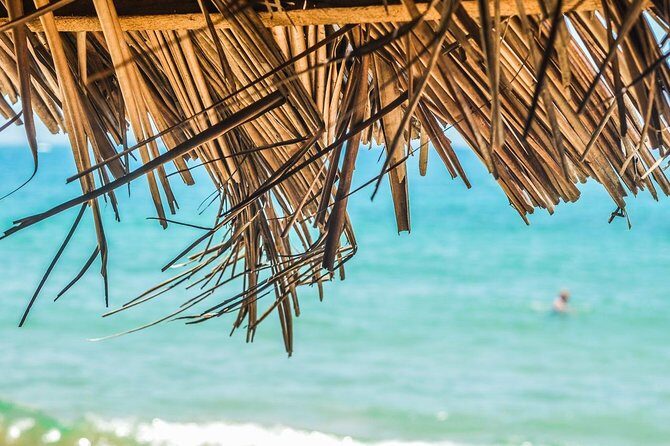 Private Custom Tour of Martinique - Key Points