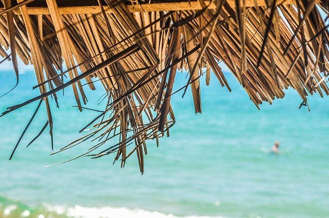 Private Custom Tour of Martinique - Who Is This Tour Best For?