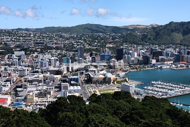 Private custom tour with a local guide Wellington - Introducing the Private Custom Tour with a Local Guide in Wellington