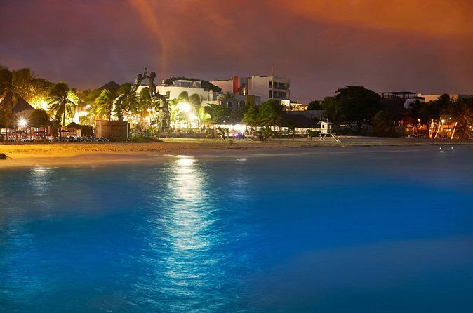 Private Custom Walking Tour with a Local Guide Playa del Carmen - Is This Tour Worth the Cost?