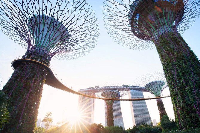 Private Customised Singapore Walking Tour - A Deep Dive into the Experience