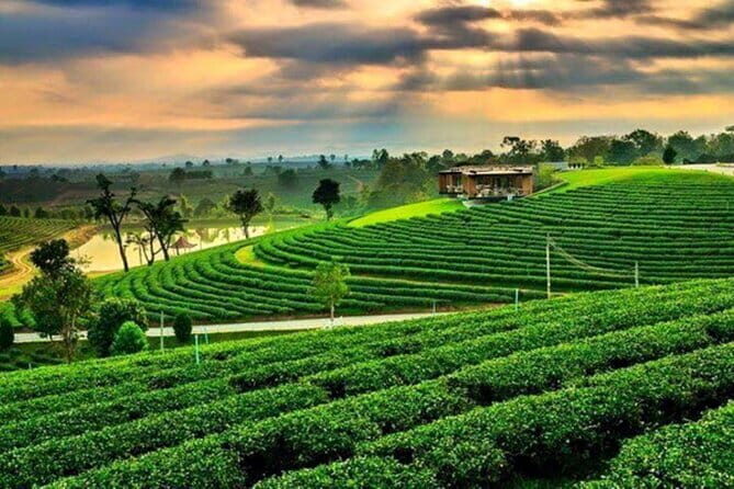Private Customizable Chiang Rai Tour from Chiang Rai - Full Day - How Does It Compare?