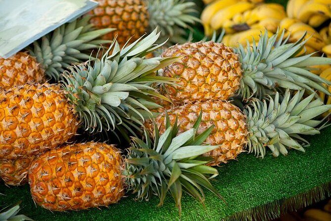 Private Customizable Grand Circle Island Tour on Oahu - An In-Depth Look at the Oahu Grand Circle Tour