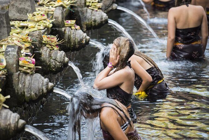 Private Customized Trip to Ubud - Discover Ubud with a Private Customizable Tour