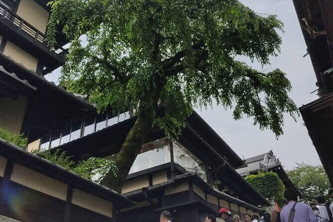 Private Customized Walking in Tour Kyoto - Final Thoughts