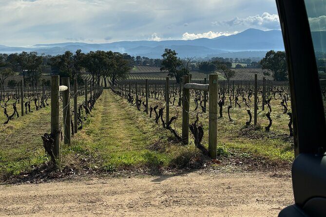 Private Customized Yarra Valley Wine Tour - Practical Considerations