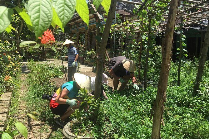 Private Cycling Tour in Rural Hue with Farming Experience - Key Points