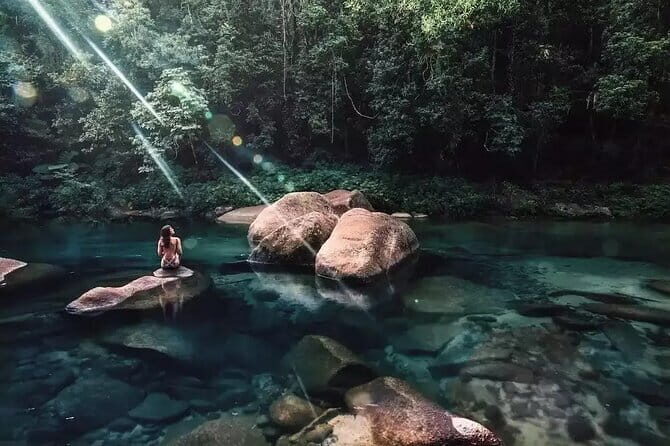 Private Daintree Wanderer Tour - Reviews in Context: What Travelers Say