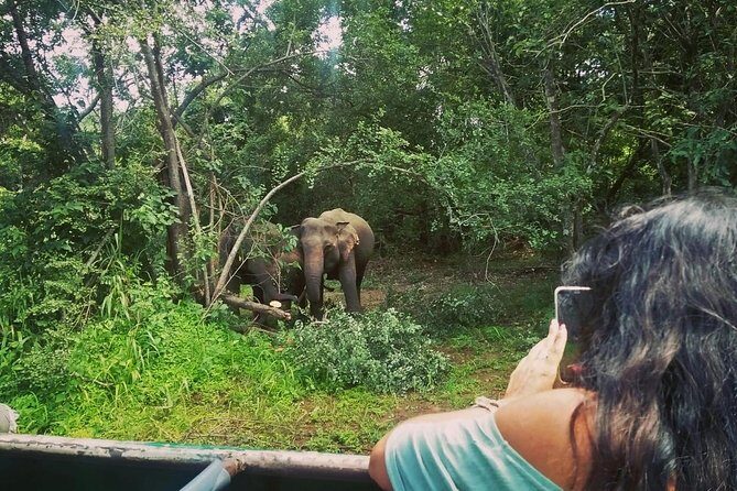 Private Dambulla Sigiriya Tour from Kandy with Lunch - The Experience of Transportation and Guides