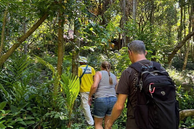 Private Danang Hidden Gems Motorbike Tour - Key Points