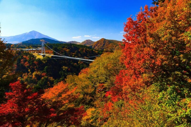 PRIVATE Day BUS Tour to KOKONOE & YUFUIN, BEPPU from Fukuoka - Practical Details and Tips