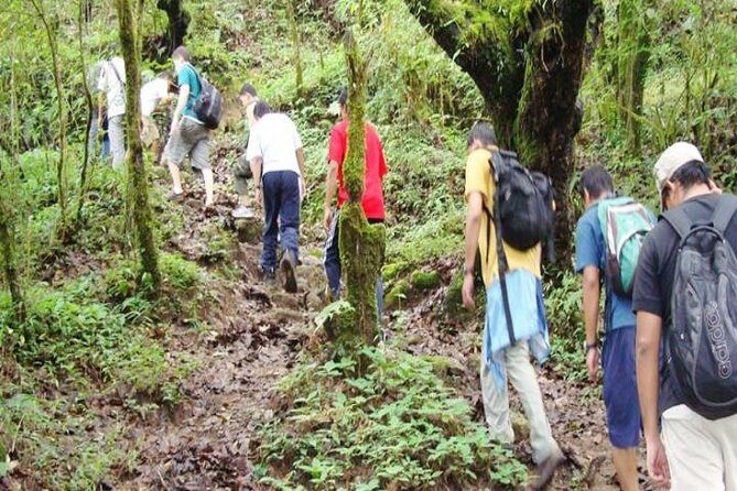 Private Day Hike to Shivapuri - Who Will Love This Tour