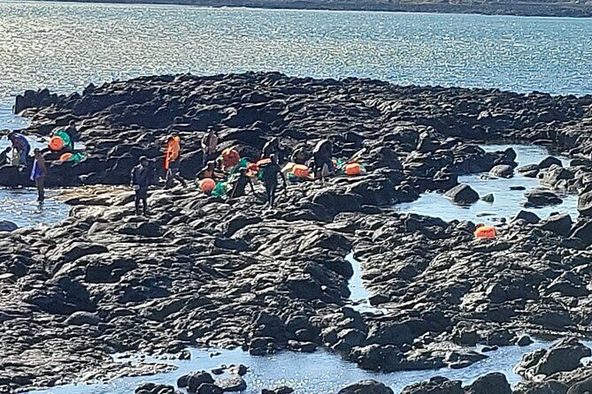 Private Day Tour A lot of Experienced Jumbo Taxi Driver in jeju - FAQs