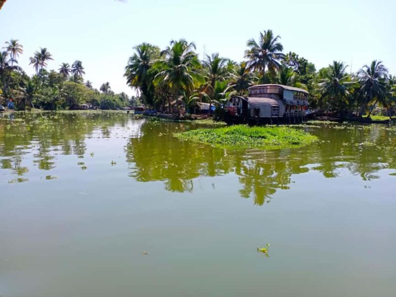 Private Day Tour - Alleppey, Cochin with Backwater & Beach - FAQs