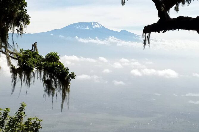 Private Day Tour and Hike in Kilimanjaro National Park - A Closer Look at the Itinerary and What You’ll Experience